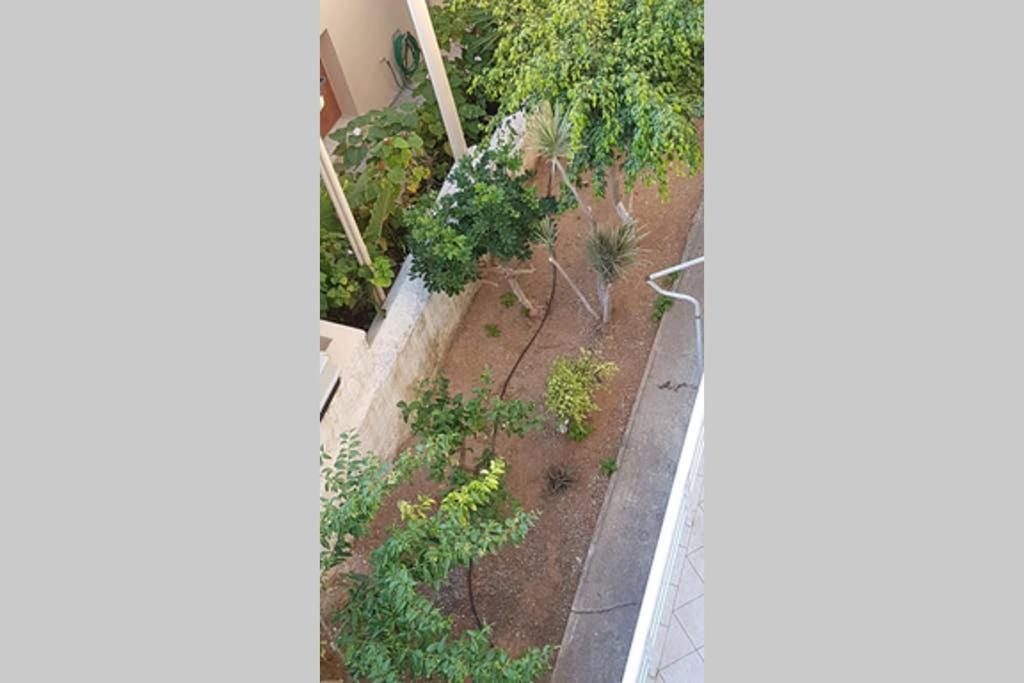 Ellis Apartments , Amperia , Crete Hanya Dış mekan fotoğraf